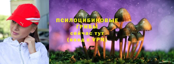 прущая мука Богданович